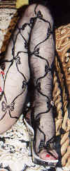 1004.jpg (29091 byte)