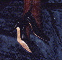 black10.gif (24712 byte)
