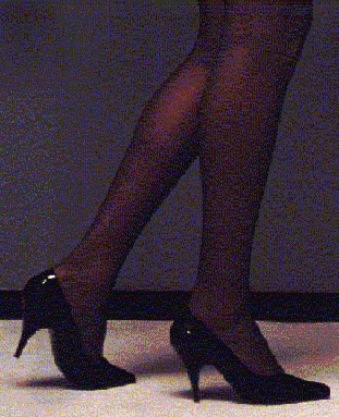 black6.gif (49594 byte)