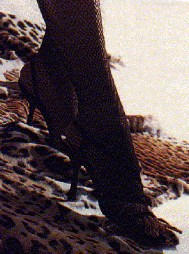 black7.gif (53064 byte)