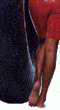 feet.gif (39442 byte)