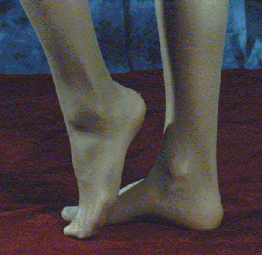 feet10.gif (63629 byte)