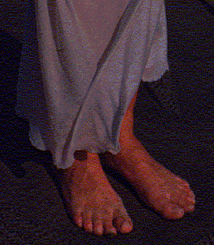 feet12.gif (49425 byte)