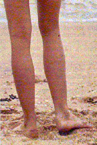 feet20.gif (30131 byte)