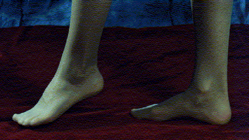 feet4.gif (63790 byte)