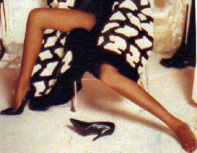 feetEheel.gif (73816 byte)