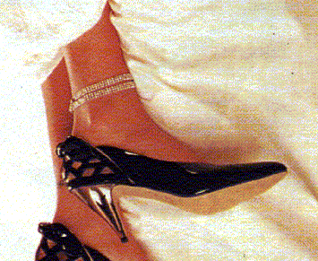 heel.gif (52219 byte)