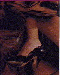 heel1.gif (24175 byte)