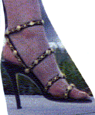 heel2.gif (19271 byte)