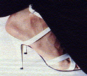 heel6.gif (36425 byte)
