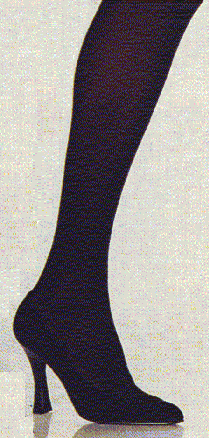 heel8.gif (35513 byte)