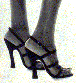 heels11.gif (32987 byte)