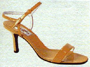 heels6.gif (34952 byte)