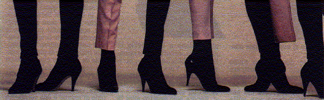 heelsheel1.gif (62706 byte)