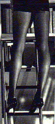 legs.gif (39460 byte)