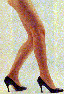 legs3.gif (16085 byte)