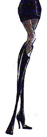 legs5.gif (12459 byte)