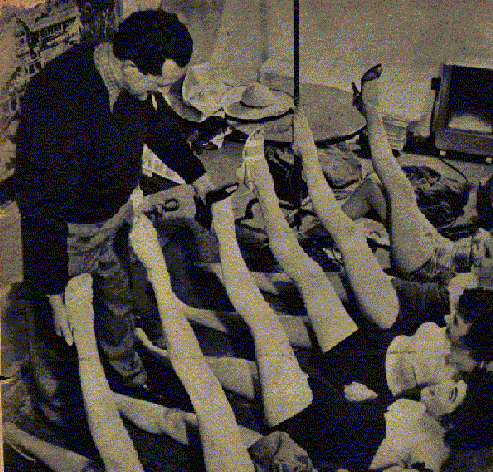 legs6.gif (112753 byte)