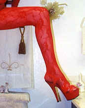 red17.jpg (12416 byte)