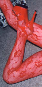 red30.jpg (16280 byte)