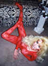 red31-02.jpg (81924 byte)