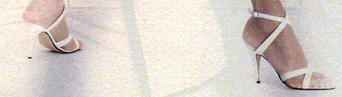 white.gif (61811 byte)